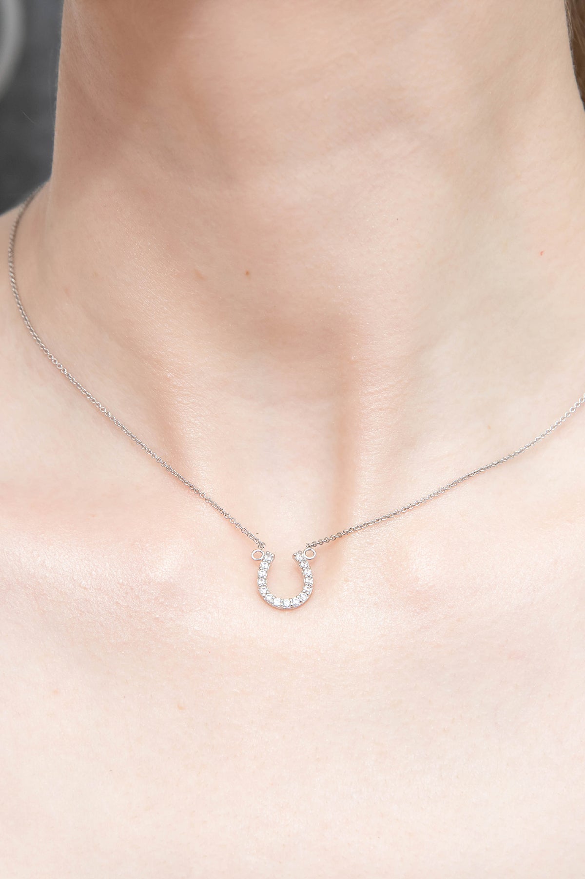 Sterling Silver Cubic Zirconia Horseshoe Short Dainty Collar Necklace